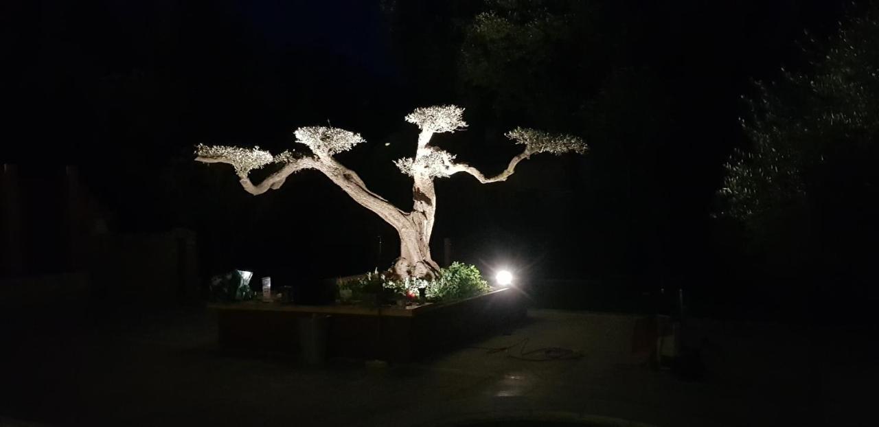 Les Gites De L'Arbousier Quissac  Buitenkant foto